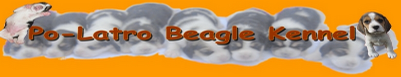 Po-Latro Beagle Kennel